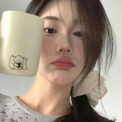 十二公民